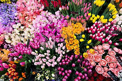 等等党赢麻了！英伟达50系Super显卡规格曝光 预计年内发售